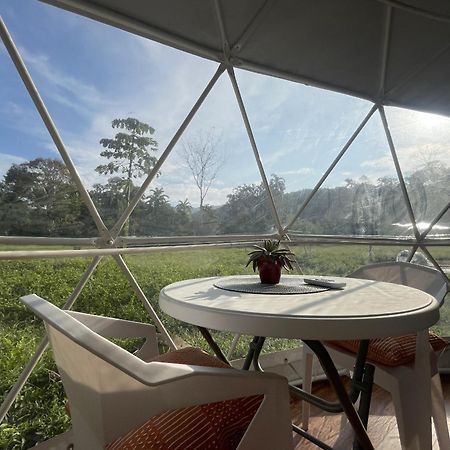 La Comarca River Glamping Dome Near Manuel Antonio Exterior photo